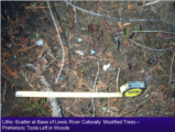 Click to View: 20. Lithic scatter at base of CMT