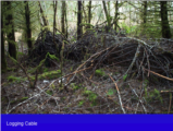 Click to View: 29. Logging cable