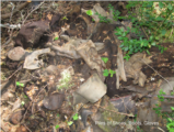 Click to View: 31. Used leather pile