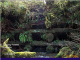 Click to View: 34. Crib dam