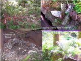 Click to View: 37. Loging camp artifacts