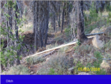 Click to View: 3. Ditches