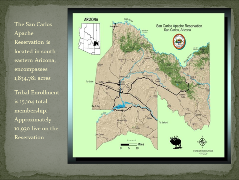 globalsan carlos apache timber in cutter az globalsan carlos apache timber in cutter az