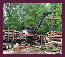 Forest harvesting systems