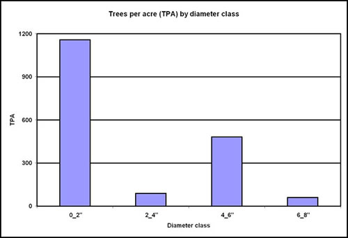 Figure 9-4: Once a table is open in Excel, you can use Excel to create useful charts. This chart shows the number of trees per acre by diameter class for a young loblolly pine plantation.